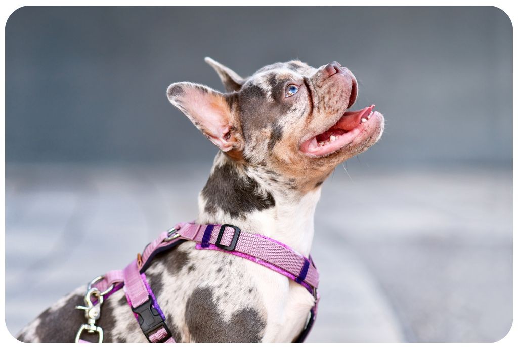 Návrh bez názvu - 2025-10-19T205844.481